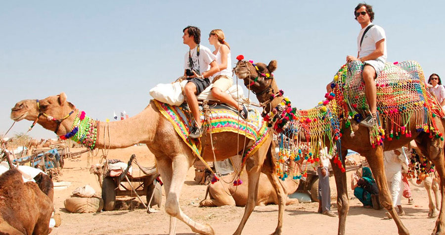 Royal Rajasthan Tour Packages in India